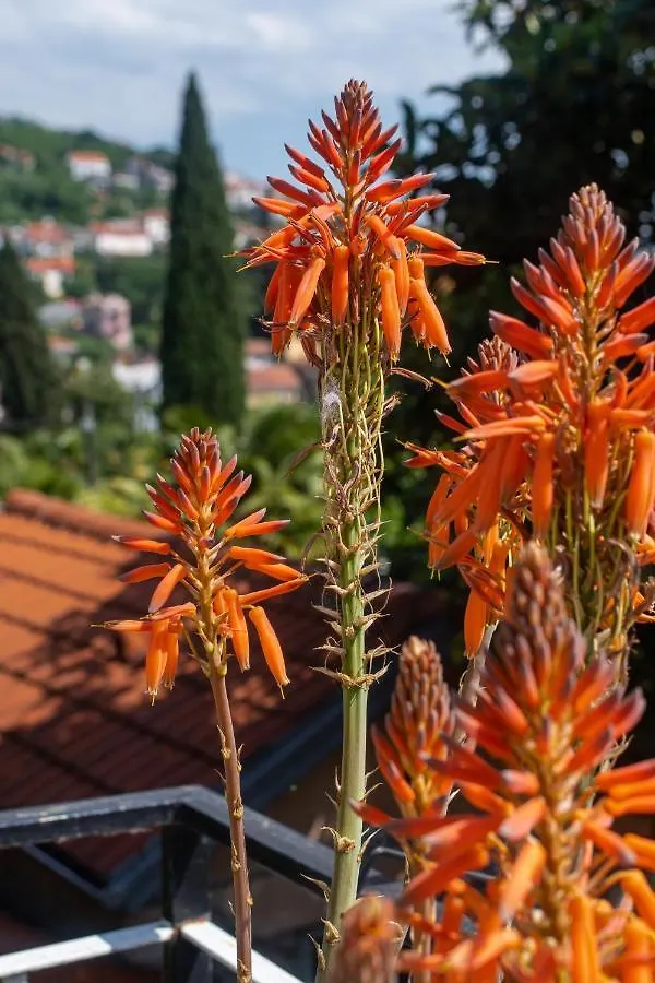 Holiday House Mima Opatija 0*,